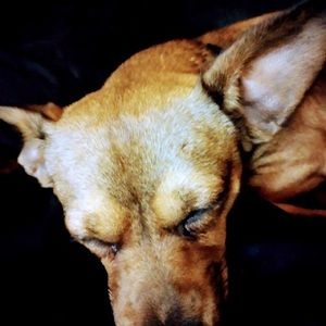 Meet your Posher, Jamari